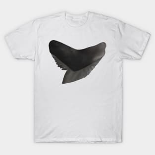 Tiger Shark Tooth T-Shirt